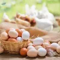 Farm Fresh Eggs