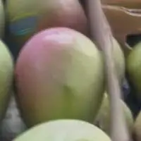Apple And Mango