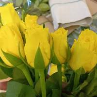 Fresh flowers