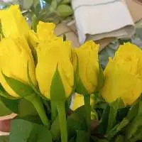 Fresh flowers