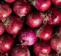 pune onions