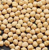 Turkish Blanched Hazelnut Kernels (All Sizes)