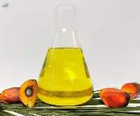 Refined Palm Oil