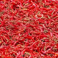 Whole Red Chilli Bulk Export Supply