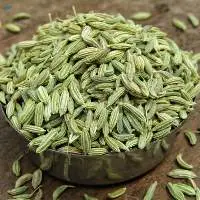 Whole Fennel Seeds for Global Wholesale