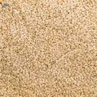 Natural White Sesame Seeds Bulk Supply