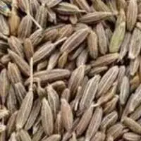 Cumin Seed