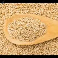 Sesame Seed