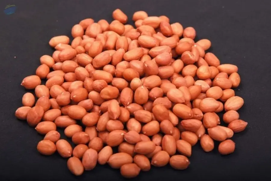 Peanuts