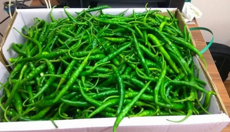 Green Chilli