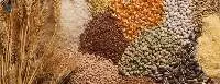 Cereals
