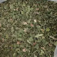 Dehydrated Moringa Leaves
