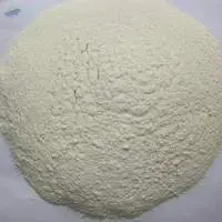 Spray Dried Garlic Powder