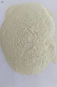 Dehydrated White Onion Powder