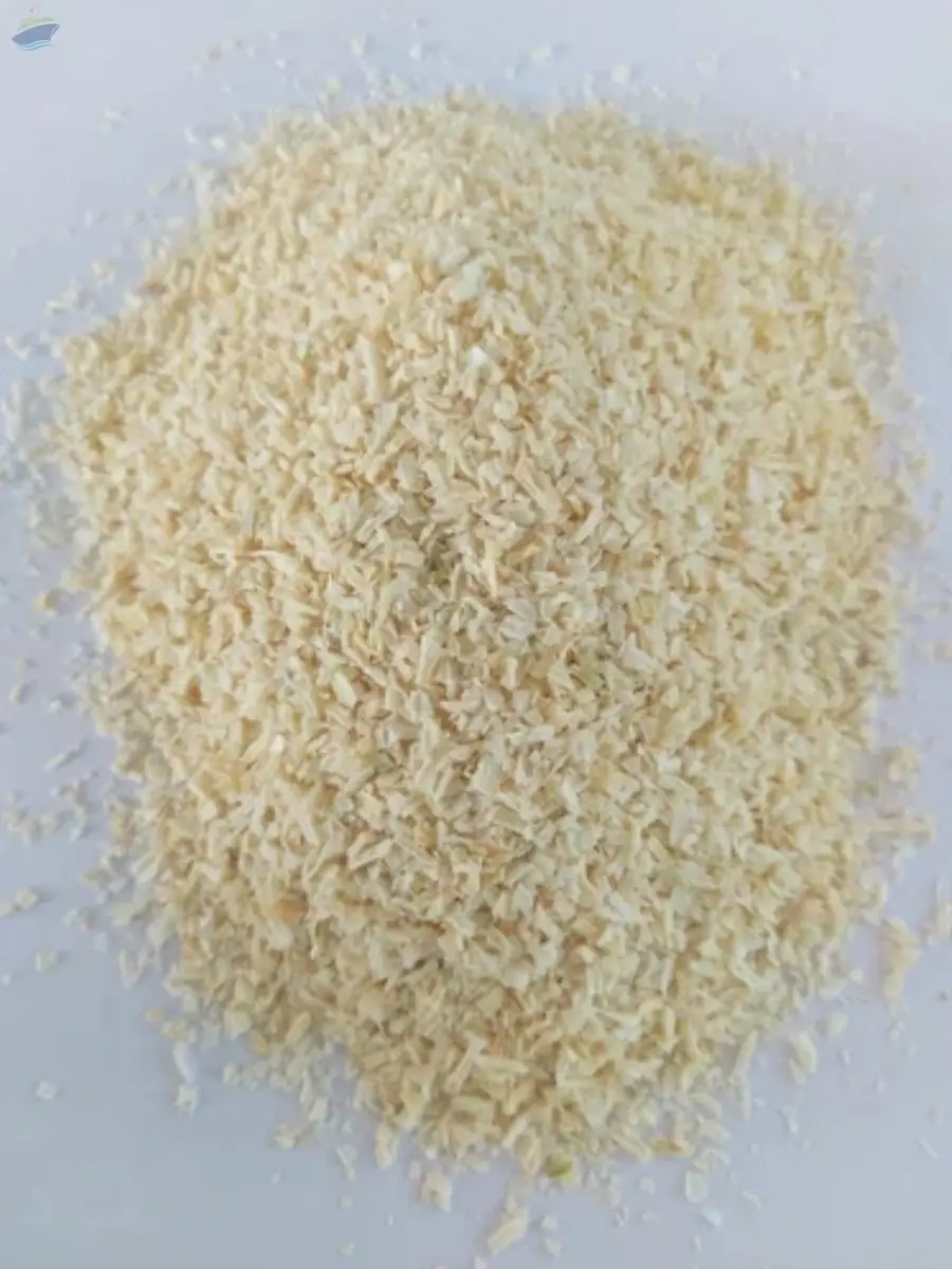 Dehydrated White Onion Chopped