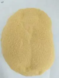 Dehydrated Garlic Powder Premium