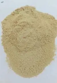 Dehydrated Garlic Powder Regular