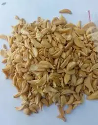 Dehydrated Garlic Flakes Sorter Regular
