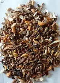 Dehydrated Garlic Unsorted