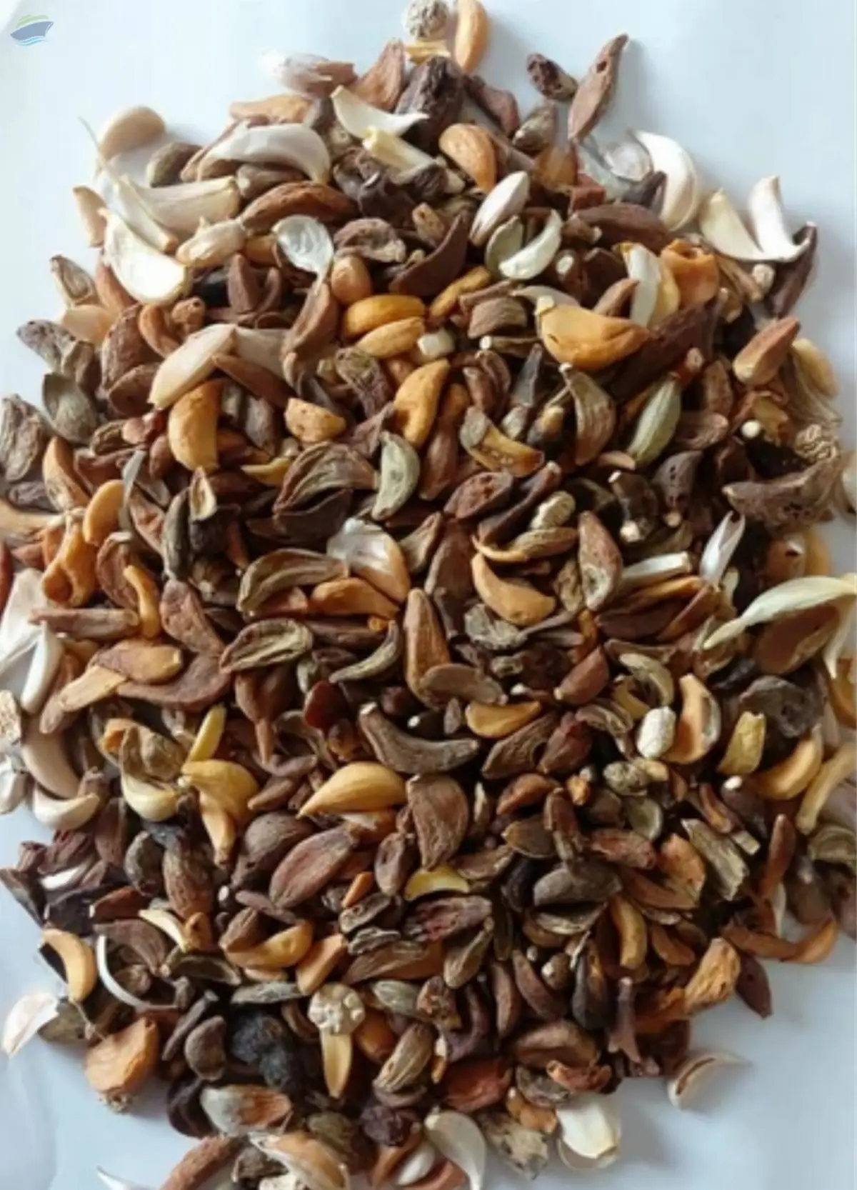 Dehydrated Garlic Unsorted