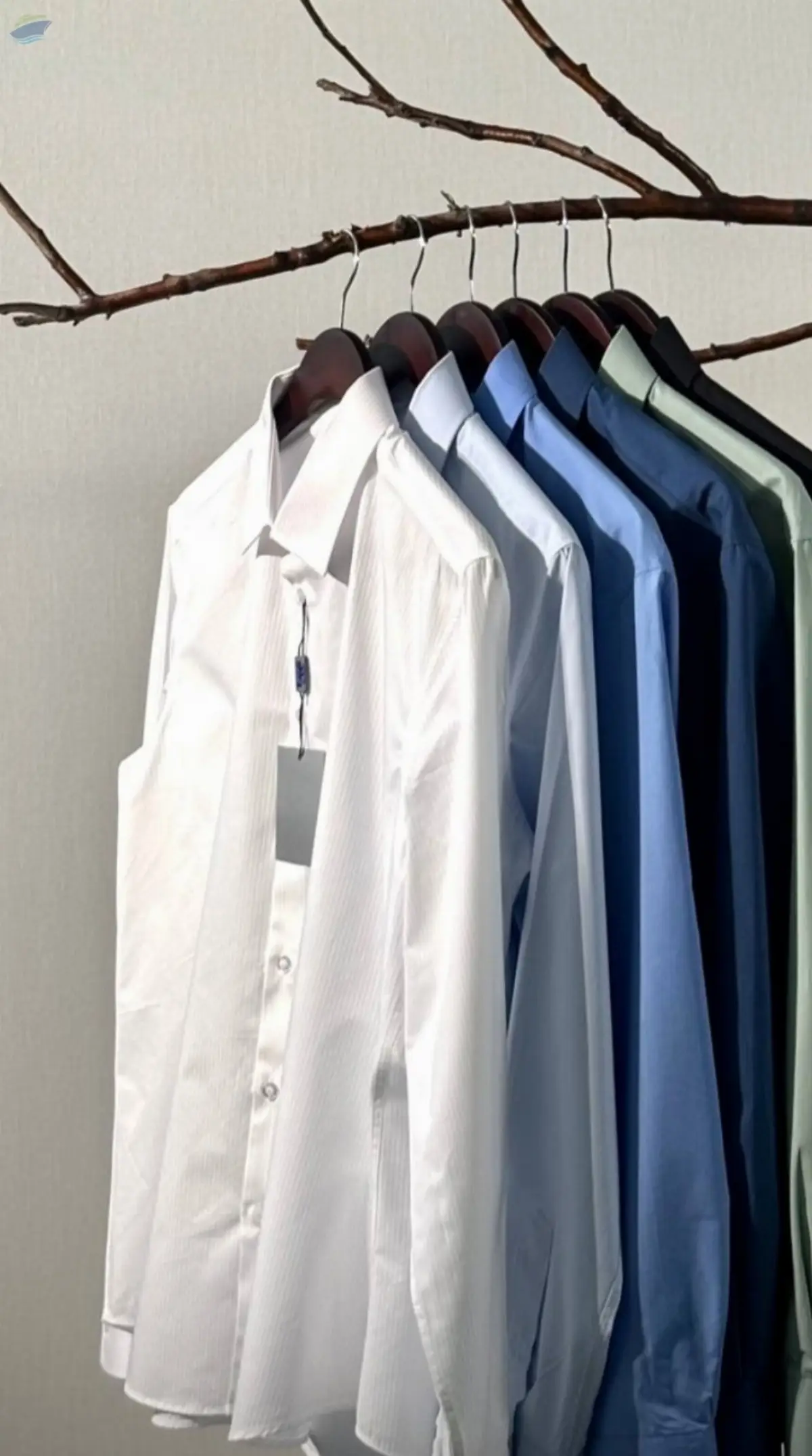 Shirts