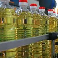 Sunflower Oil