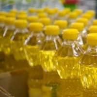 Organic Non GMO Sunflower Oil