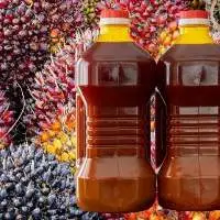 Crude Palm oil (CPO)