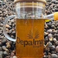 Crude Palm Kernel Oil (PKO)