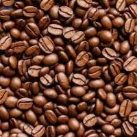 Roasted Robusta Coffee Beans