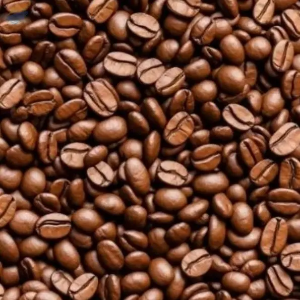 Roasted Robusta Coffee Beans