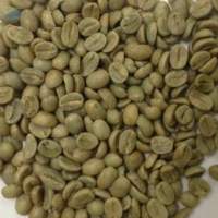 Green Beans Robusta Coffee