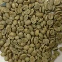 Green Beans Robusta Coffee