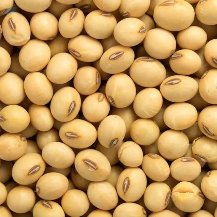 Soybeans