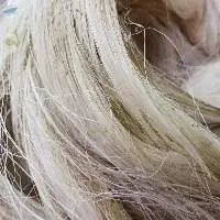 Natural Raw Sisal Fiber