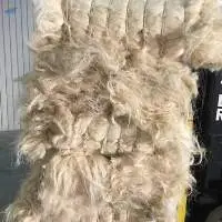 UG Sisal Fiber