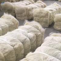 Sisal Fiber