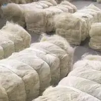 Sisal Fiber