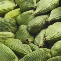 Green Cardamom