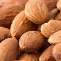 Wholesale Nuts Almonds