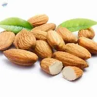 Almond Nuts Kernels Wholesale