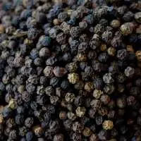 Fresh Raw Black Pepper