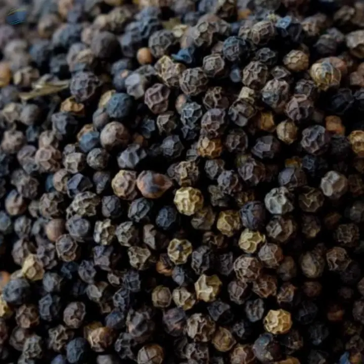 Fresh Raw Black Pepper
