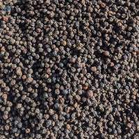Black Pepper Whole Organic