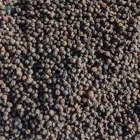 Black Pepper Whole Organic