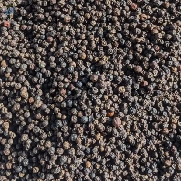 Black Pepper Whole Organic