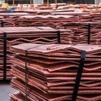 Copper Cathode Sheets