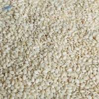 Premium Bulk Sesame Seed For Sale