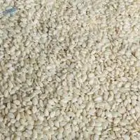Premium Bulk Sesame Seed For Sale