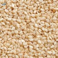 Processed Dried Sesame Seed For Wholesale Import